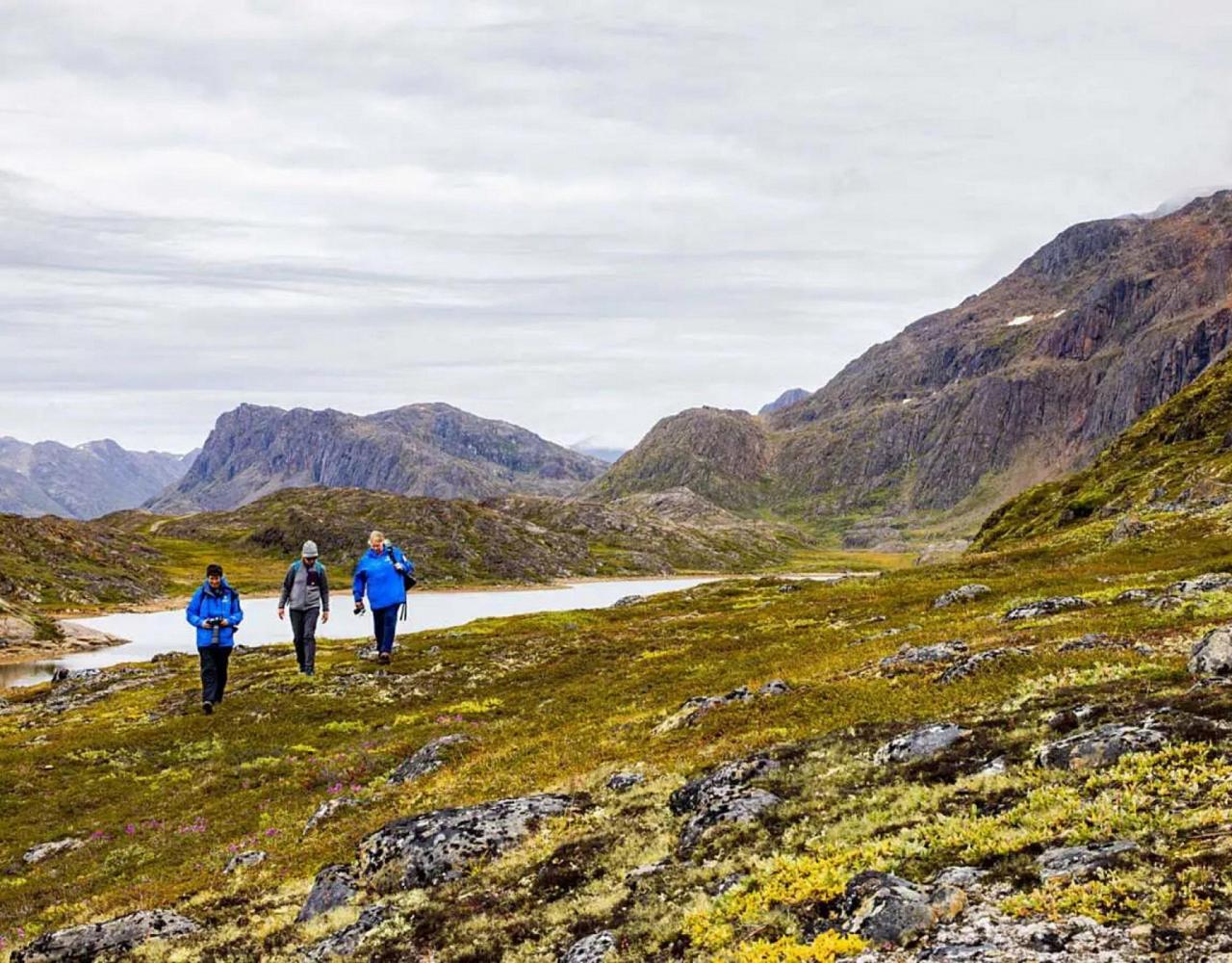 Birding the Northwest Passage, Birding Greenland, Bird watching Greenland, Arctic Wildlife, Nature Tour, Naturalist Journeys, Wildlife Tour, Wildlife Photography, Ecotourism, Specialty Birds, Birding Hotspot, Lancaster Sound, Whale-watching, Polar Bears
