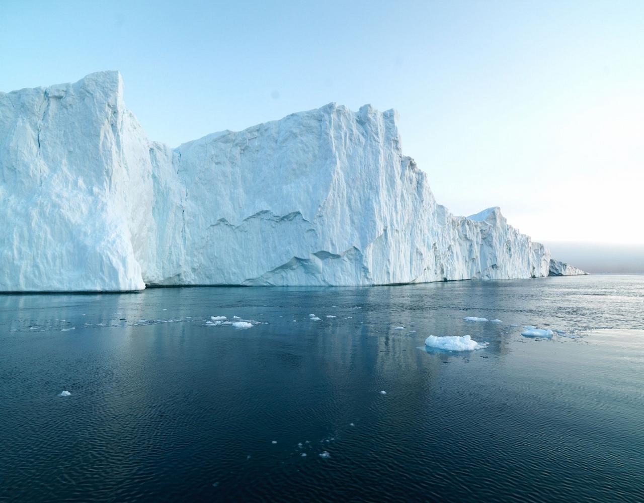 Birding the Northwest Passage, Birding Greenland, Bird watching Greenland, Arctic Wildlife, Nature Tour, Naturalist Journeys, Wildlife Tour, Wildlife Photography, Ecotourism, Specialty Birds, Birding Hotspot, Lancaster Sound, Whale-watching, Polar Bears