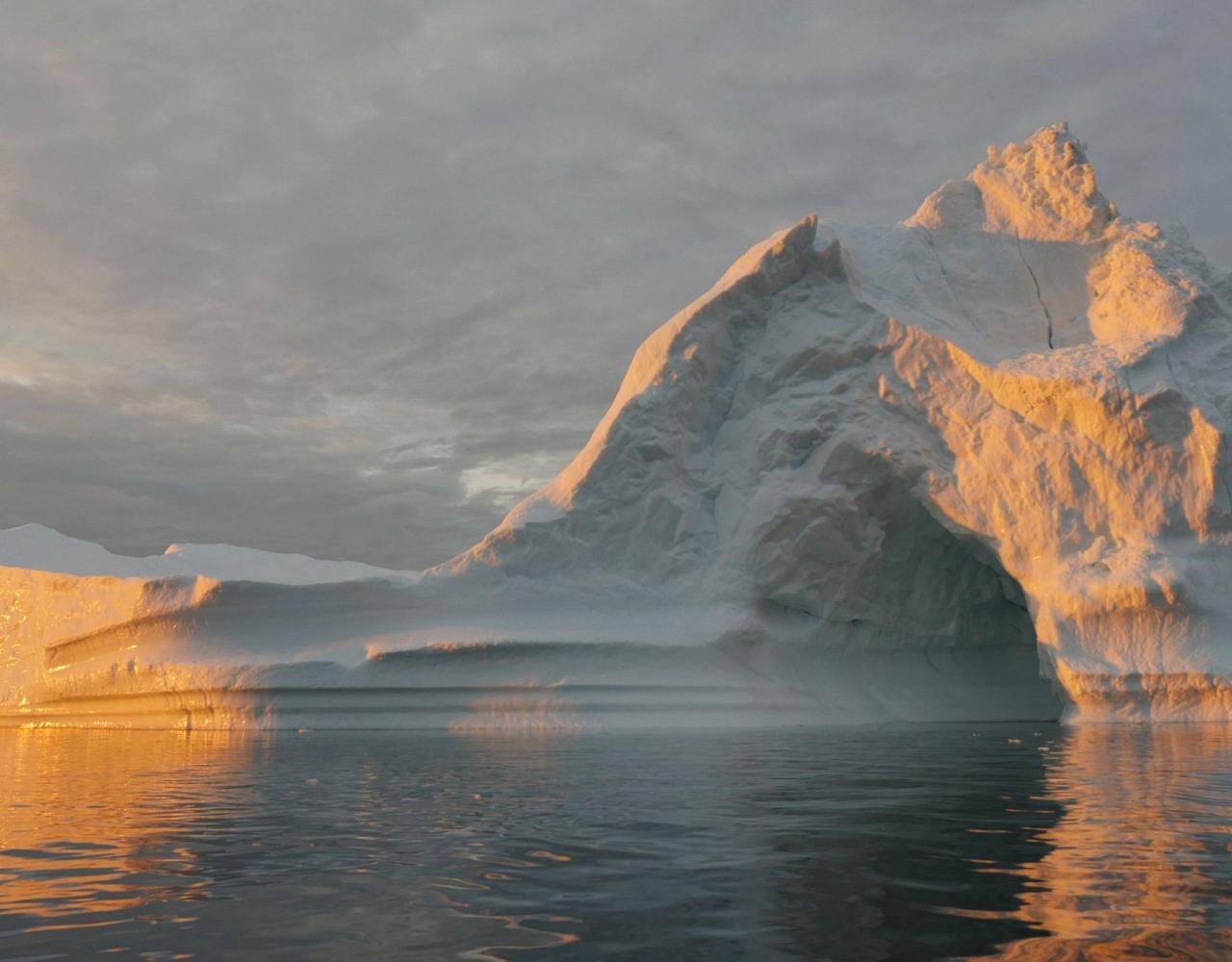 Birding the Northwest Passage, Birding Greenland, Bird watching Greenland, Arctic Wildlife, Nature Tour, Naturalist Journeys, Wildlife Tour, Wildlife Photography, Ecotourism, Specialty Birds, Birding Hotspot, Lancaster Sound, Whale-watching, Polar Bears