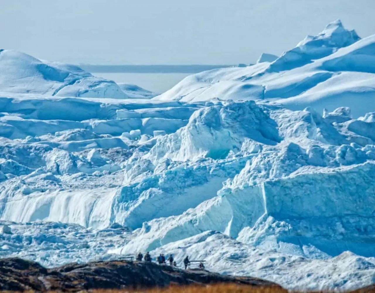 Birding the Northwest Passage, Birding Greenland, Bird watching Greenland, Arctic Wildlife, Nature Tour, Naturalist Journeys, Wildlife Tour, Wildlife Photography, Ecotourism, Specialty Birds, Birding Hotspot, Lancaster Sound, Whale-watching, Polar Bears