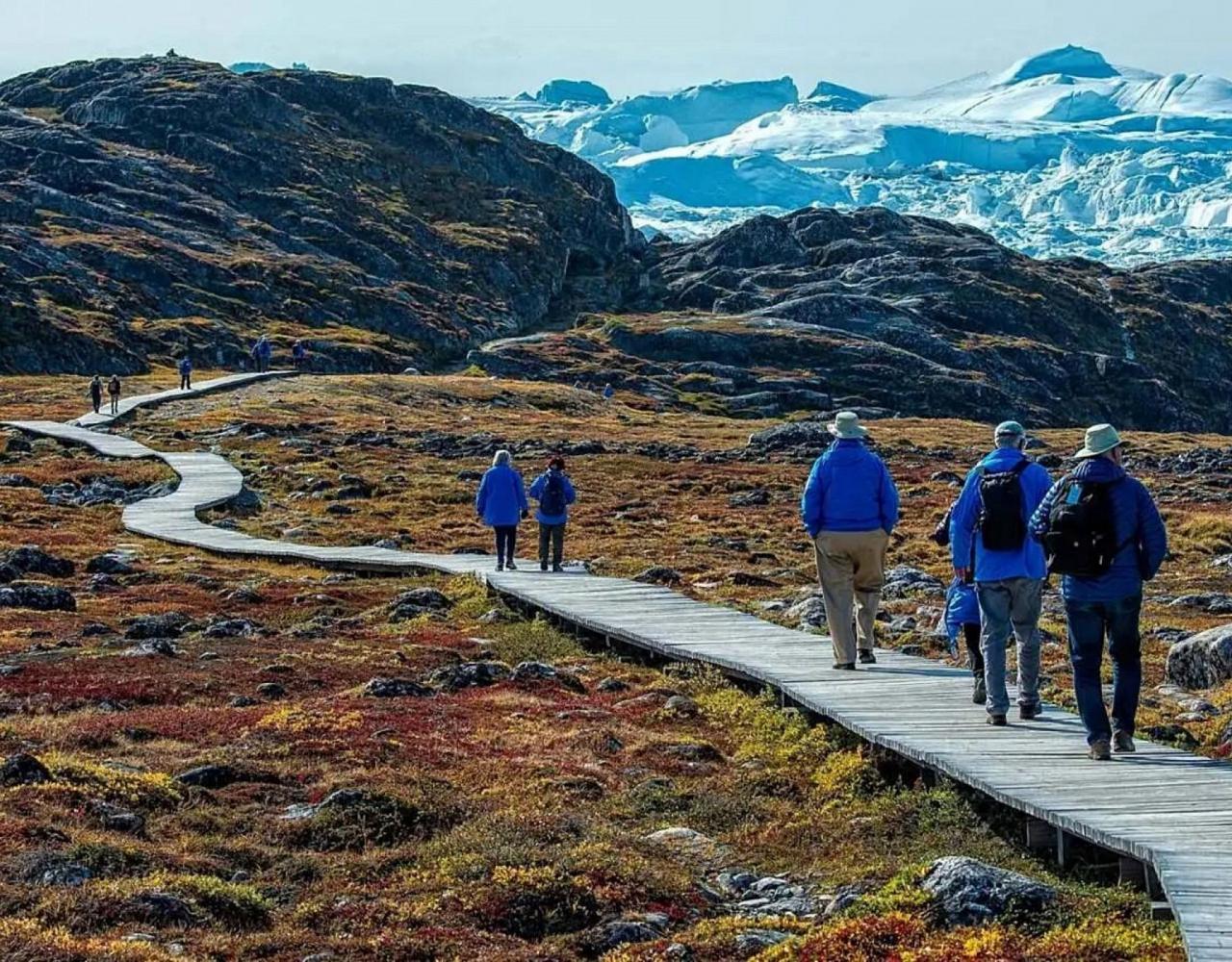 Birding the Northwest Passage, Birding Greenland, Bird watching Greenland, Arctic Wildlife, Nature Tour, Naturalist Journeys, Wildlife Tour, Wildlife Photography, Ecotourism, Specialty Birds, Birding Hotspot, Lancaster Sound, Whale-watching, Polar Bears