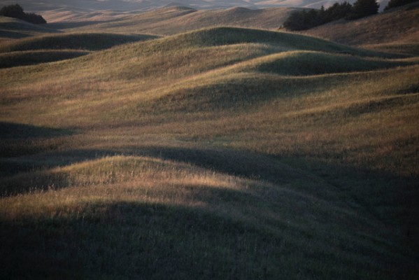 Nebraska, Sandhills, Nebraska Nature Tour, Nebraska Birding Tour, Sandhills Nature Tour, Naturalist Journeys