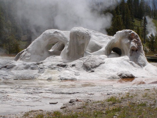 Grotto Geyser, Yellowstone National Park, Yellowstone Nature Tour, Yellowstone Birding Tour, Naturalist Journeys