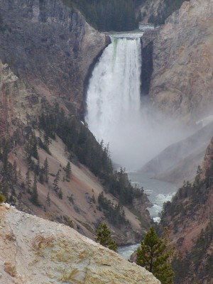Yellowstone Falls, Yellowstone National Park, Yellowstone Nature Tour, Yellowstone Birding Tour, Naturalist Journeys