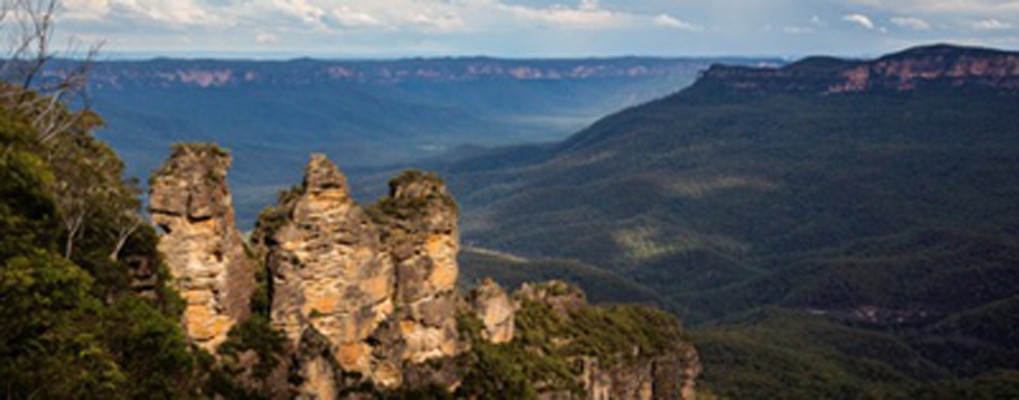 Blue Mountains, Australia, Australia Birding Tour, Australia Nature Tour, Naturalist Journeys