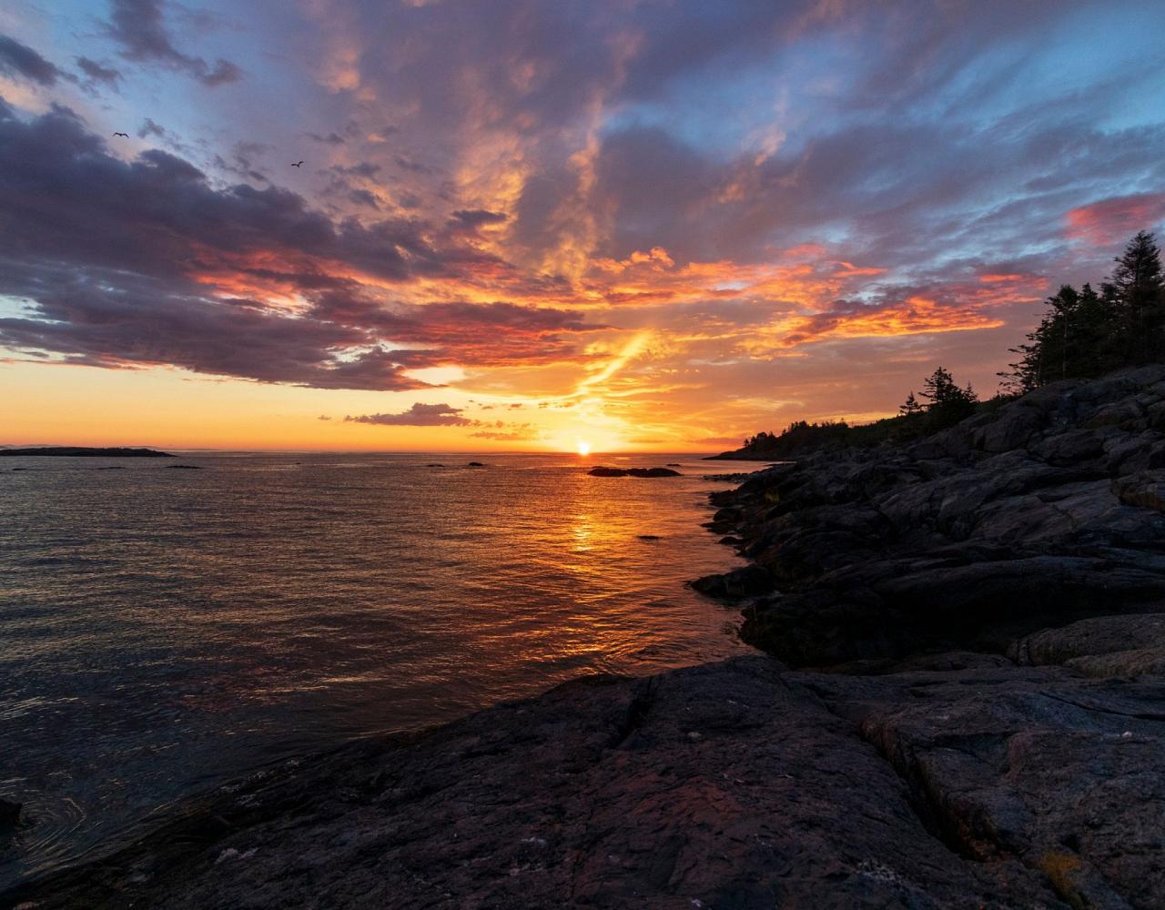 Birding Maine, Maine Nature, Acadia National Park, Bird watching Maine, Fall Migration, Naturalist Journeys, Wildlife Tour, Wildlife Photography, Ecotourism, Specialty Birds, Birding Hotspot, Bar Harbor