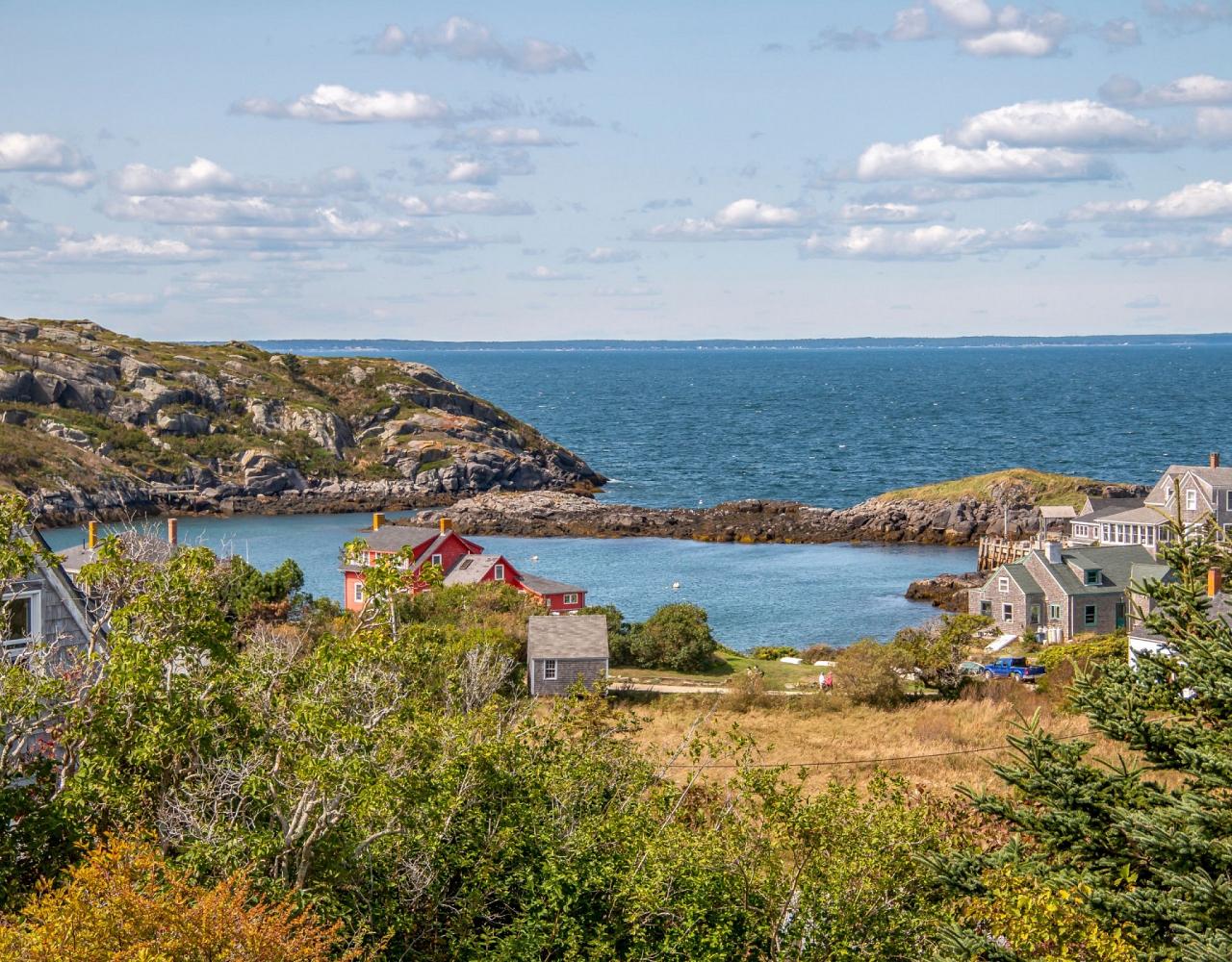 Birding Maine, Maine Nature, Acadia National Park, Bird watching Maine, Fall Migration, Naturalist Journeys, Wildlife Tour, Wildlife Photography, Ecotourism, Specialty Birds, Birding Hotspot, Bar Harbor