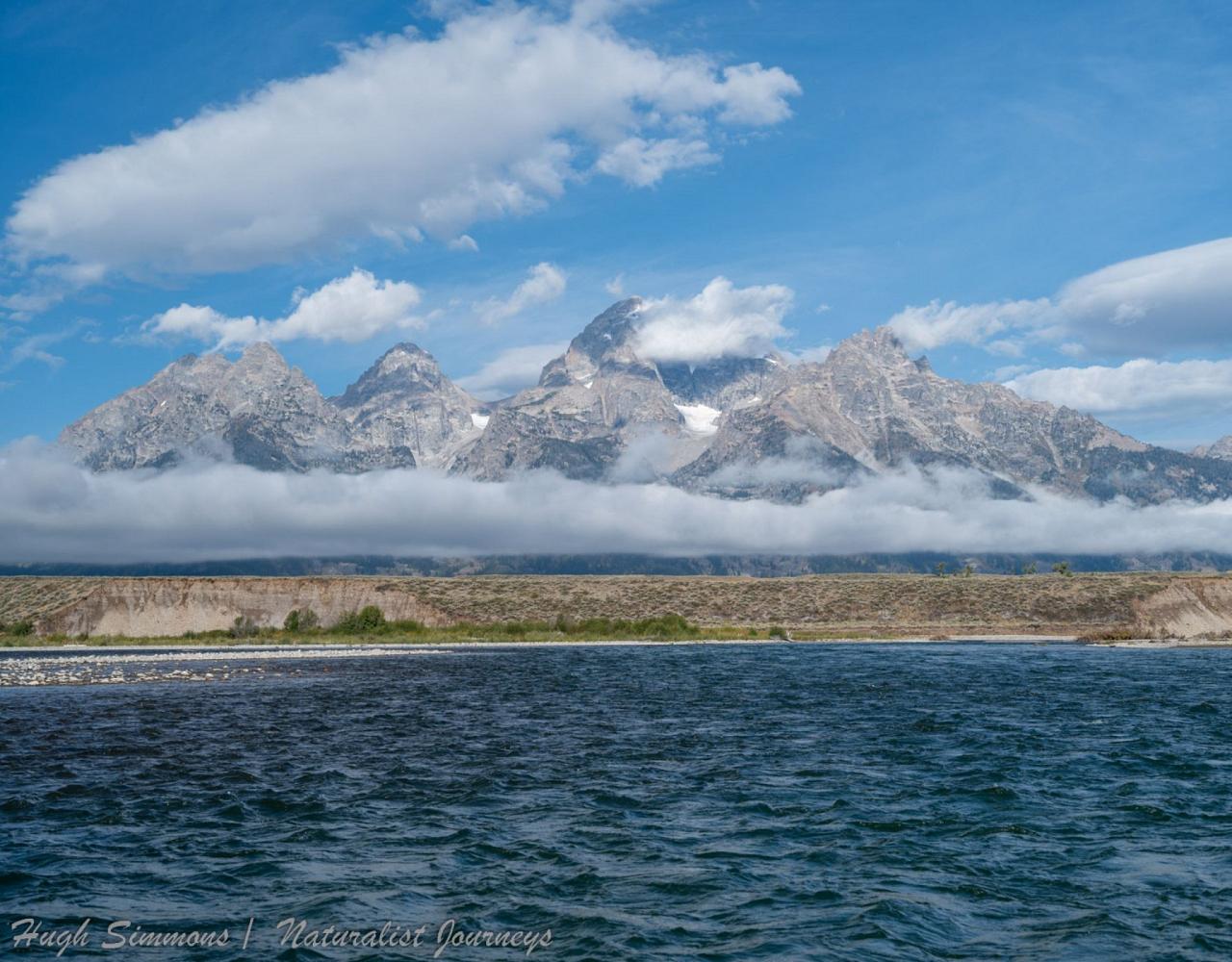 Yellowstone National Park, Birding Yellowstone, Bird Watching, United States, North American Birds, Naturalist Journeys, Wildlife Tour, Wildlife Photography, Ecotourism, Specialty Birds, Endemic Birds, Birding Hotspot