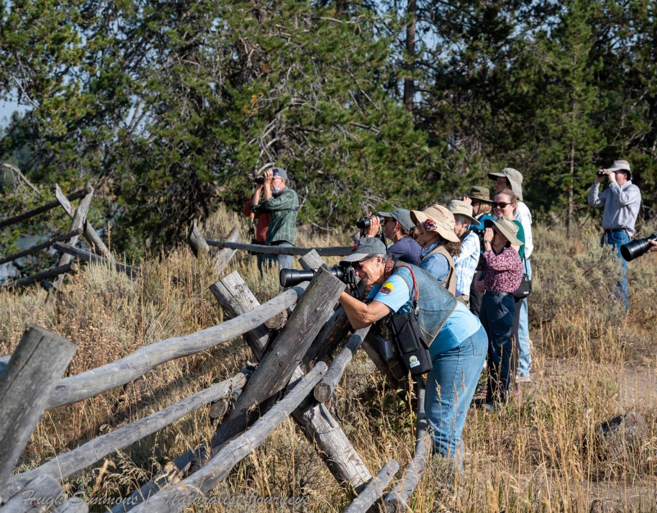 Yellowstone National Park, Birding Yellowstone, Bird Watching, United States, North American Birds, Naturalist Journeys, Wildlife Tour, Wildlife Photography, Ecotourism, Specialty Birds, Endemic Birds, Birding Hotspot