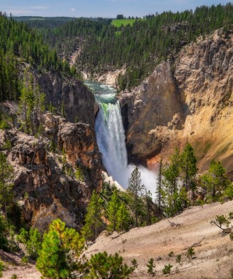 Lower Falls, Yellowstone National Park, Birding Yellowstone, Bird Watching, United States, North American Birds, Naturalist Journeys, Wildlife Tour, Wildlife Photography, Ecotourism, Specialty Birds, Endemic Birds, Birding Hotspot