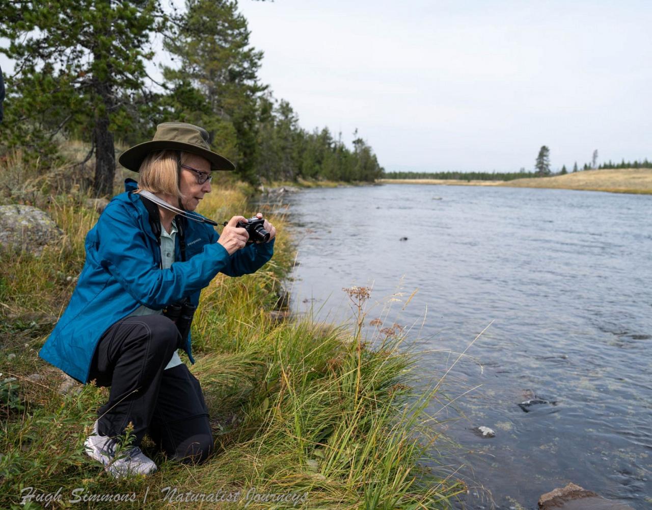 Yellowstone National Park, Birding Yellowstone, Bird Watching, United States, North American Birds, Naturalist Journeys, Wildlife Tour, Wildlife Photography, Ecotourism, Specialty Birds, Endemic Birds, Birding Hotspot