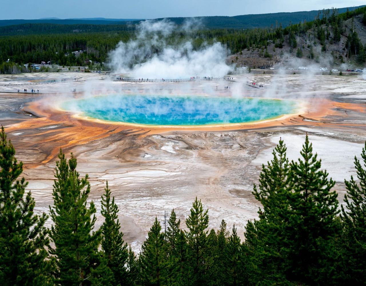 Yellowstone National Park, Birding Yellowstone, Bird Watching, United States, North American Birds, Naturalist Journeys, Wildlife Tour, Wildlife Photography, Ecotourism, Specialty Birds, Endemic Birds, Birding Hotspot
