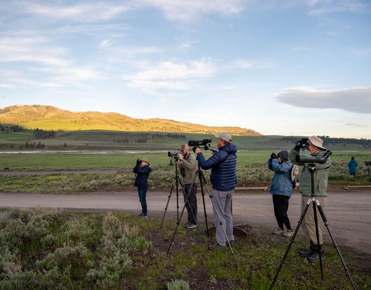 Yellowstone National Park, Birding Yellowstone, Bird Watching, United States, North American Birds, Naturalist Journeys, Wildlife Tour, Wildlife Photography, Ecotourism, Specialty Birds, Endemic Birds, Birding Hotspot