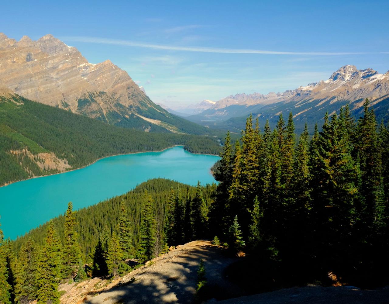 Birding Canada, Bird Watching Canada, Birding North America, Naturalist Journeys, Wildlife Tour, Wildlife Photography, Ecotourism, Specialty Birds, Endemic Birds, Birding Hotspot, Banff National Park