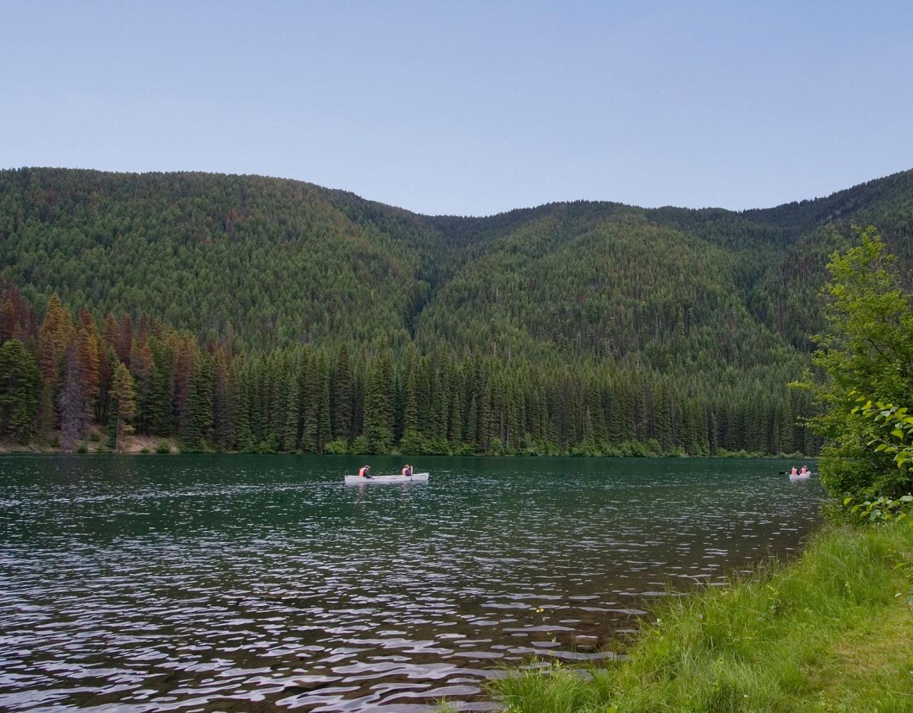 Birding Canada, Bird Watching Canada, Birding North America, Naturalist Journeys, Wildlife Tour, Wildlife Photography, Ecotourism, Specialty Birds, Endemic Birds, Birding Hotspot, Banff National Park