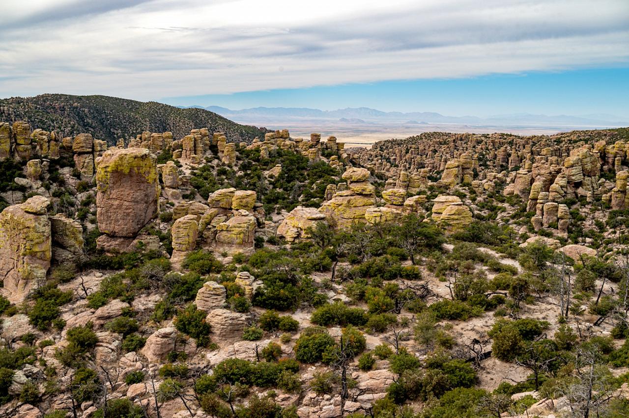 Southeast Arizona, Arizona, Arizona Nature Tour, Arizona Birding Tour, Naturalist Journeys Photo-Friendly