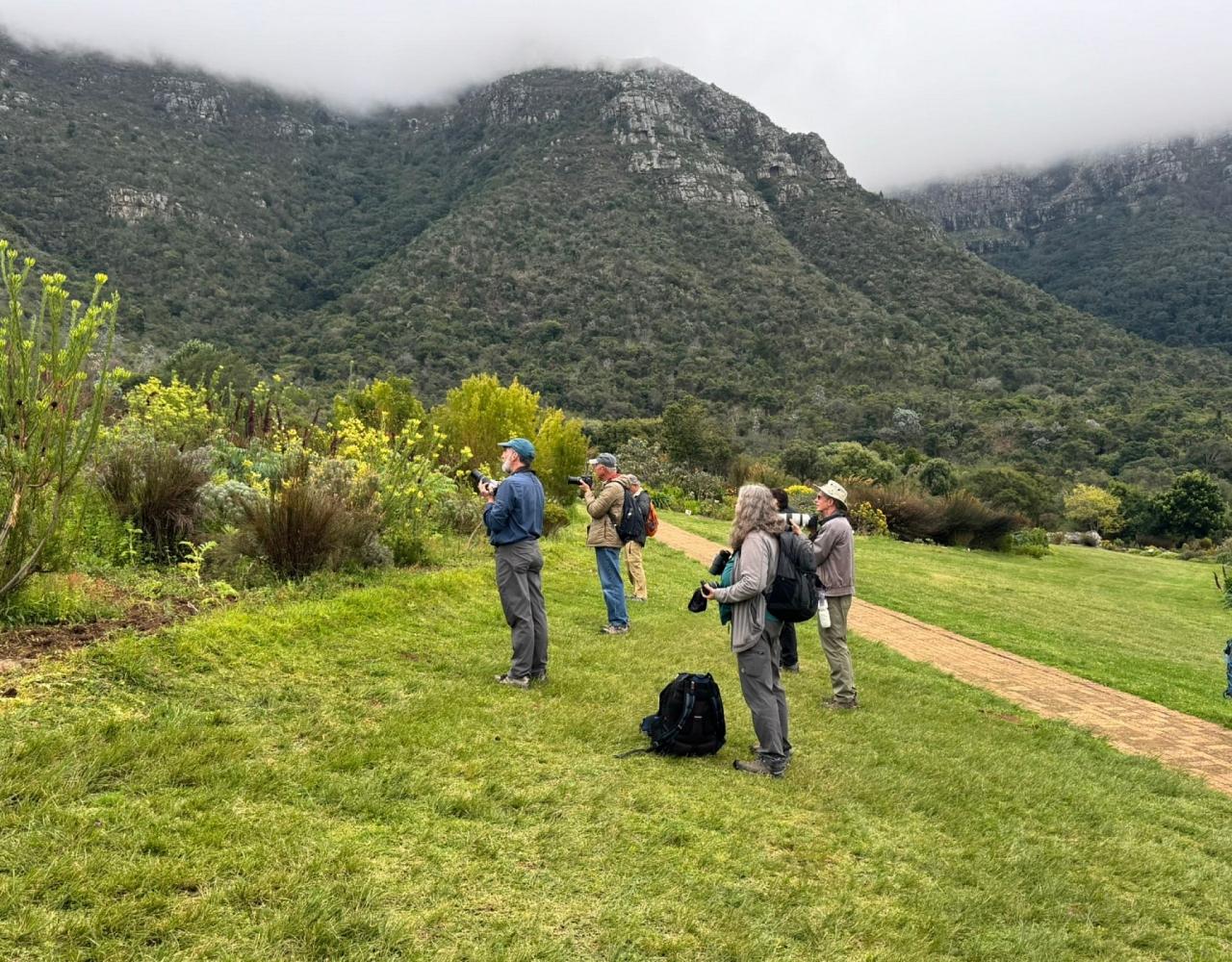 Birding South Africa, Bird watching South Africa, Cape Town, African birds, African Safari, Naturalist Journeys, Wildlife Tour, Wildlife Photography, Ecotourism, Specialty Birds, Endemic Birds, Birding Hotspot