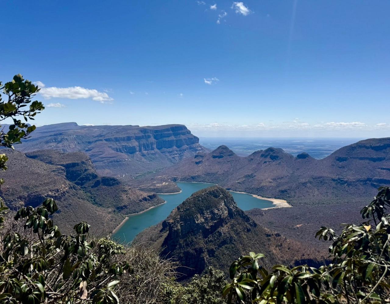 Birding South Africa, Bird watching South Africa, Cape Town, African birds, African Safari, Naturalist Journeys, Wildlife Tour, Wildlife Photography, Ecotourism, Specialty Birds, Endemic Birds, Birding Hotspot