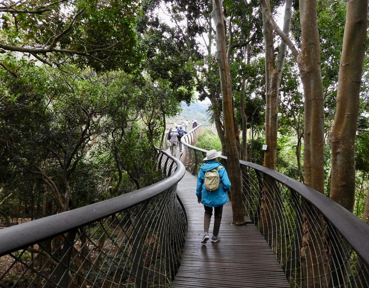 Birding South Africa, Bird watching South Africa, Cape Town, African birds, African Safari, Naturalist Journeys, Wildlife Tour, Wildlife Photography, Ecotourism, Specialty Birds, Endemic Birds, Birding Hotspot
