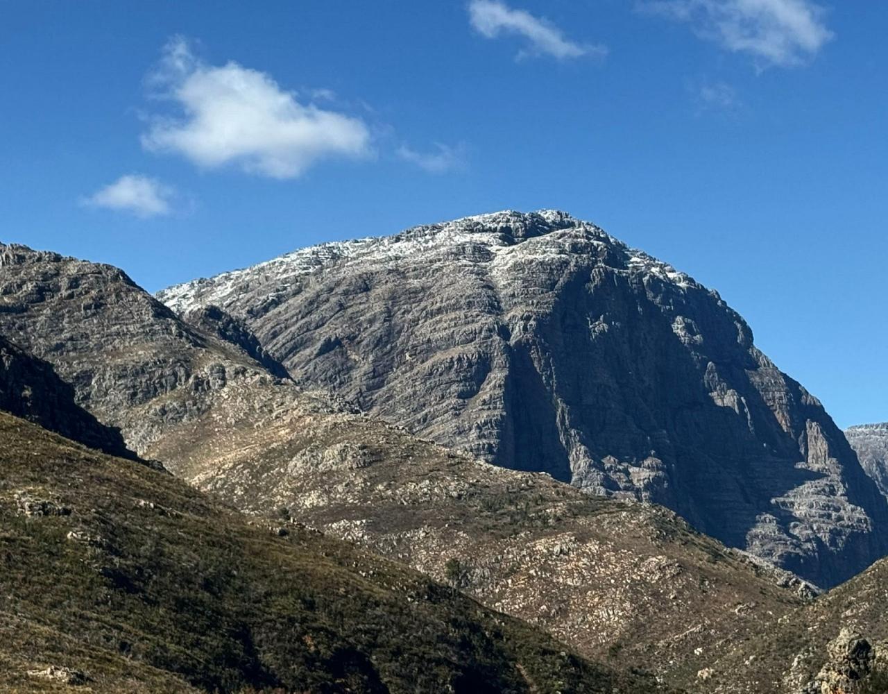 Birding South Africa, Bird watching South Africa, Cape Town, African birds, African Safari, Naturalist Journeys, Wildlife Tour, Wildlife Photography, Ecotourism, Specialty Birds, Endemic Birds, Birding Hotspot