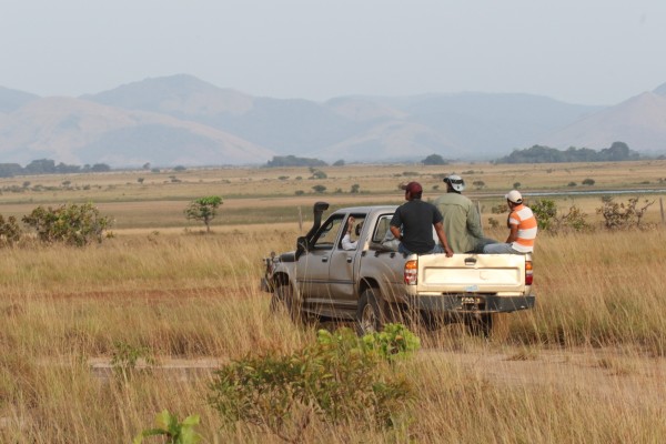 Birding Guyana, Naturalist Journeys, Guyana Birding Tour, Trinidad Birding Tour