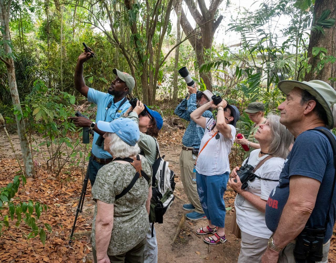 Birding Trinidad & Tobago, Bird watching Trinidad & Tobago, Naturalist Journeys, Wildlife Tour, Wildlife Photography, Ecotourism, Specialty Birds, Birding Hotspot, Asa Wright Nature Center