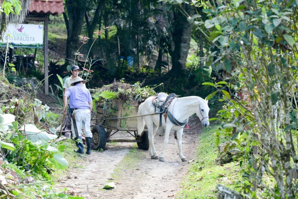 Costa Rica Rural Life, Costa Rica, Costa Rica Nature Tour, Costa Rica Birding Tour, Naturalist Journeys