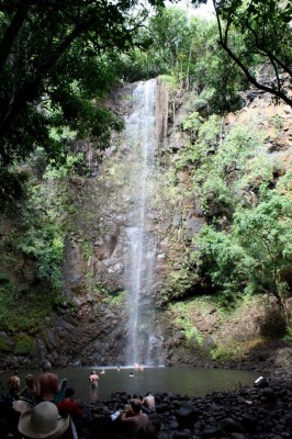 Hawaii Waterfall, Hawaii Nature Tour, Hawaii Nature Cruise, Hawaii Birding Tour, Naturalist Journeys 