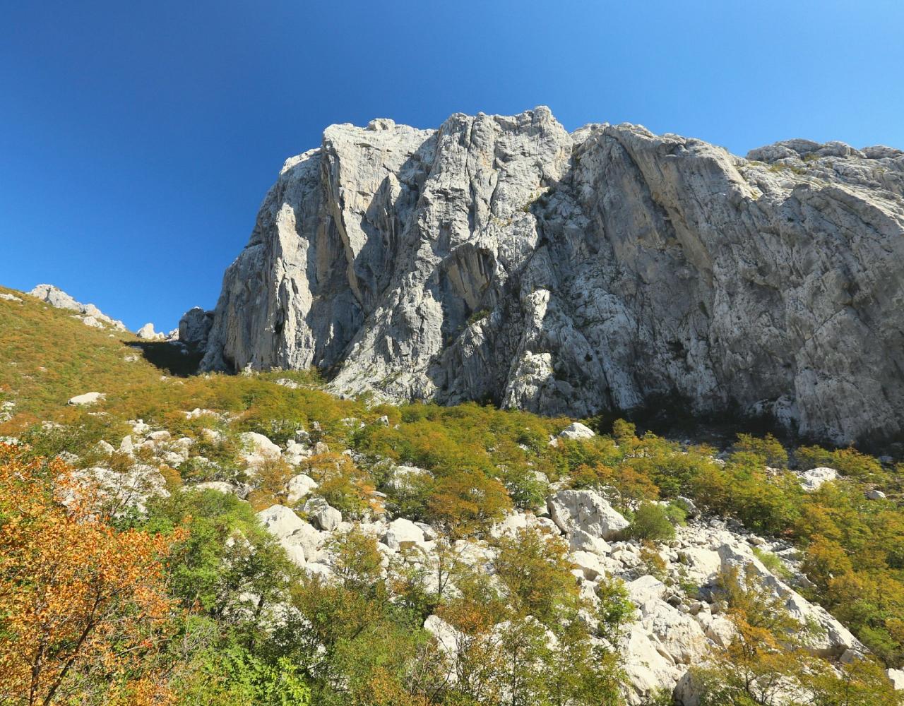 Birding Croatia, Birding Europe, Bird watching Croatia, Adriatic Sea, Balkan Peninsula, Nature Tour, Naturalist Journeys, Wildlife Tour, Wildlife Photography, Ecotourism, Specialty Birds, Birding Hotspot, Krka National Park, Pag, Spring Migration, European Wildlife Tour