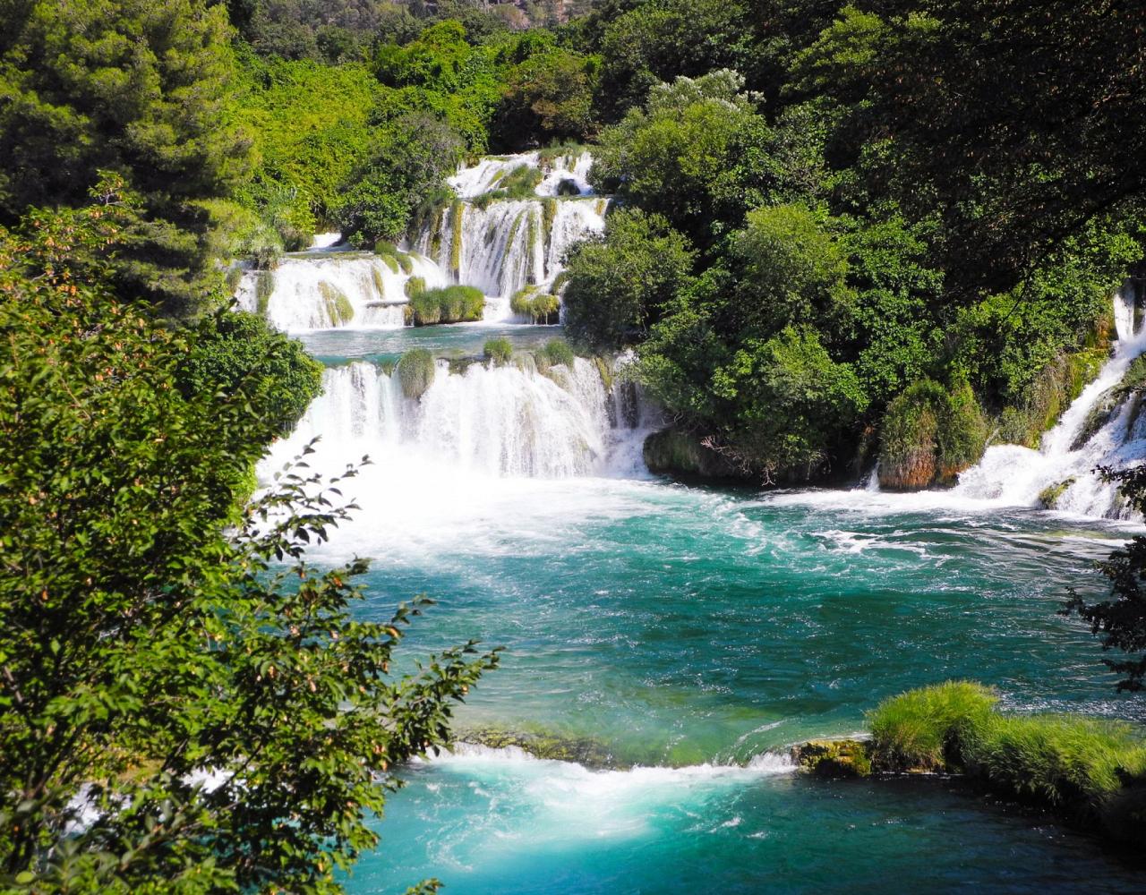 Birding Croatia, Birding Europe, Bird watching Croatia, Adriatic Sea, Balkan Peninsula, Nature Tour, Naturalist Journeys, Wildlife Tour, Wildlife Photography, Ecotourism, Specialty Birds, Birding Hotspot, Krka National Park, Pag, Spring Migration, European Wildlife Tour