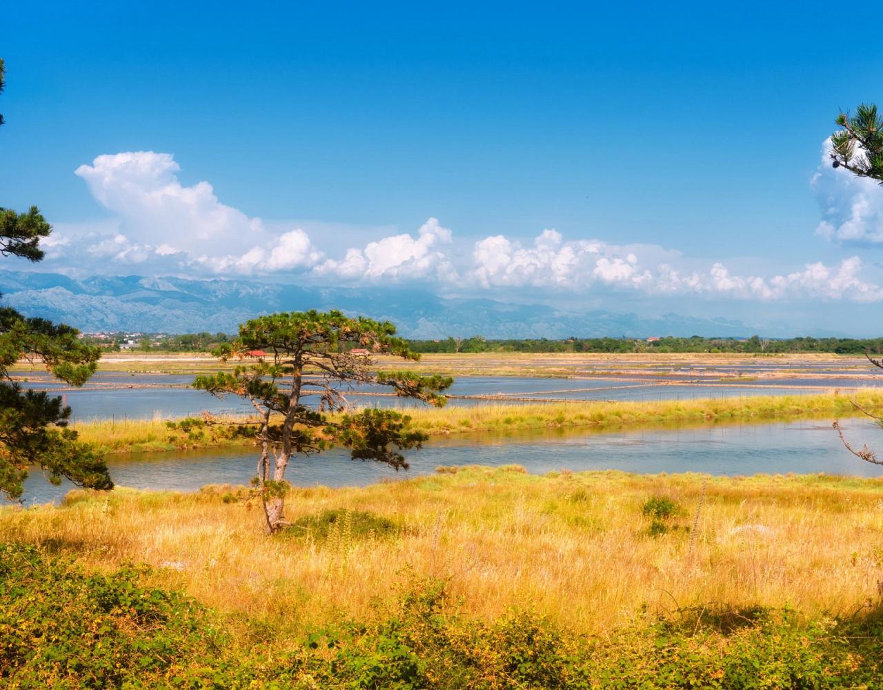 Birding Croatia, Birding Europe, Bird watching Croatia, Adriatic Sea, Balkan Peninsula, Nature Tour, Naturalist Journeys, Wildlife Tour, Wildlife Photography, Ecotourism, Specialty Birds, Birding Hotspot, Krka National Park, Pag, Spring Migration, European Wildlife Tour