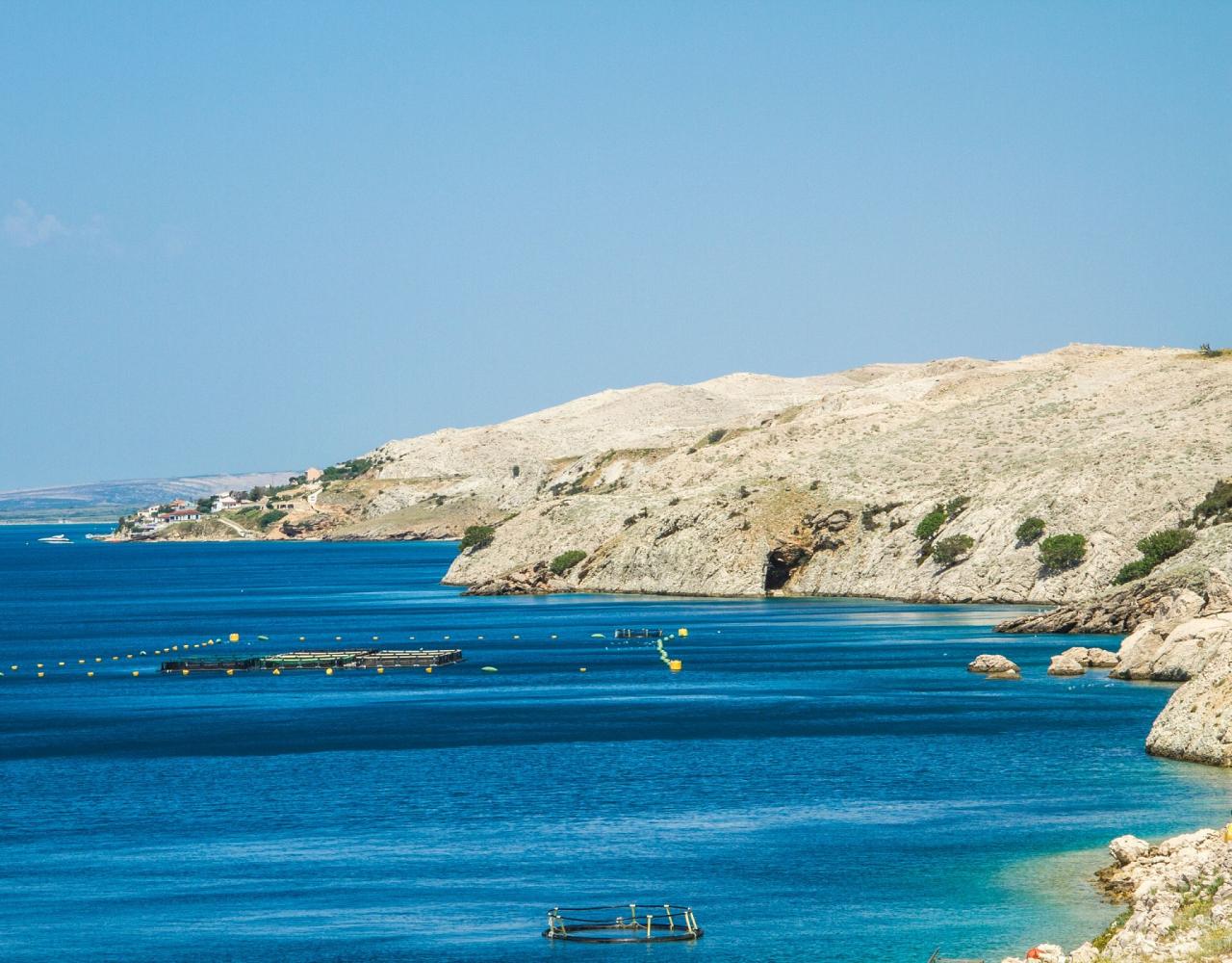 Birding Croatia, Birding Europe, Bird watching Croatia, Adriatic Sea, Balkan Peninsula, Nature Tour, Naturalist Journeys, Wildlife Tour, Wildlife Photography, Ecotourism, Specialty Birds, Birding Hotspot, Krka National Park, Pag, Spring Migration, European Wildlife Tour