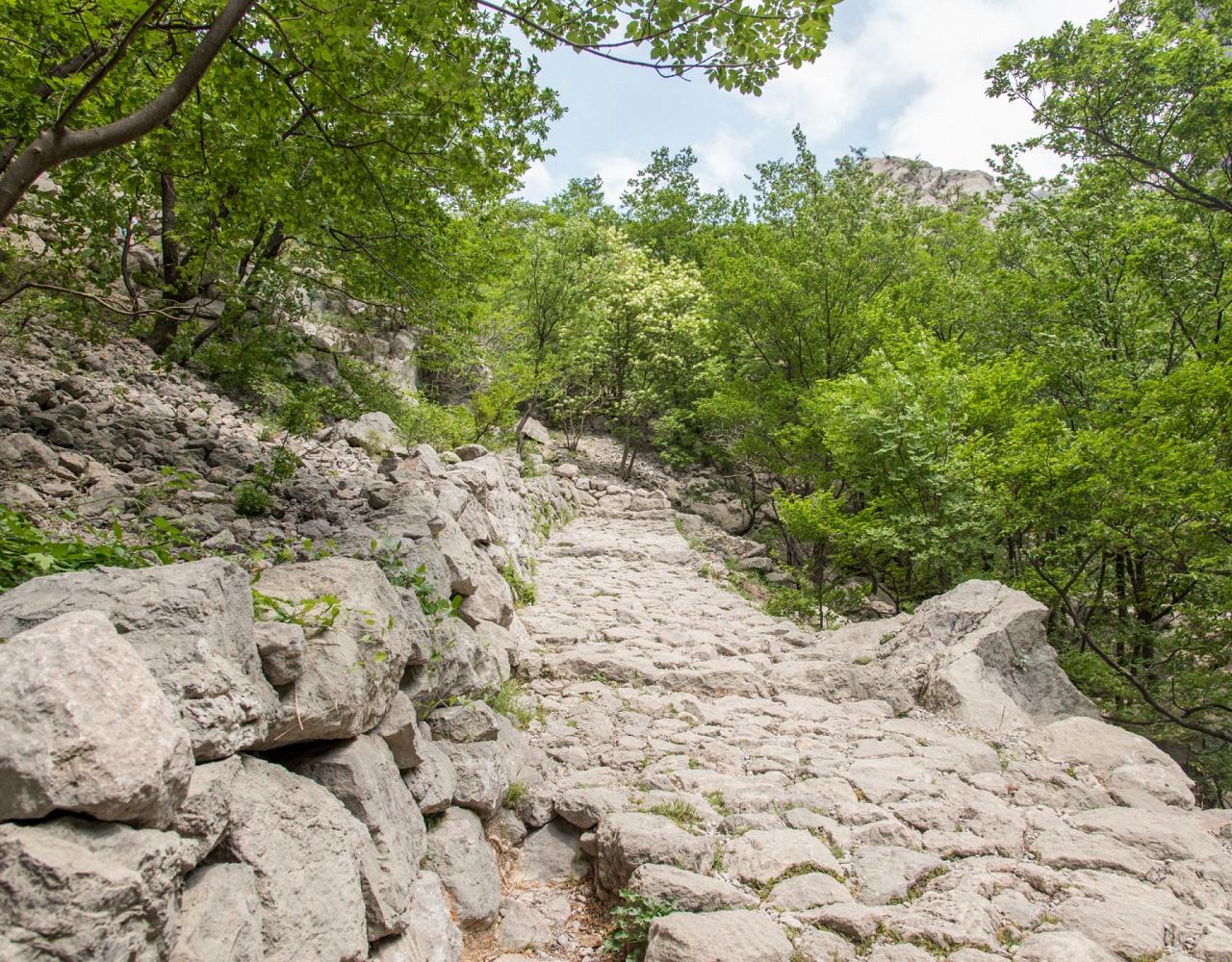 Birding Croatia, Birding Europe, Bird watching Croatia, Adriatic Sea, Balkan Peninsula, Nature Tour, Naturalist Journeys, Wildlife Tour, Wildlife Photography, Ecotourism, Specialty Birds, Birding Hotspot, Krka National Park, Pag, Spring Migration, European Wildlife Tour