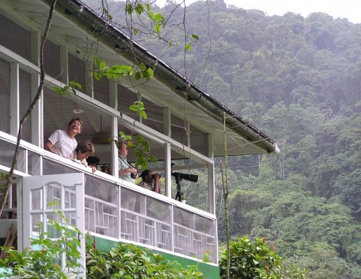 Birding Trinidad, Trinidad Birding Tour, Trinidad, Naturalist Journeys