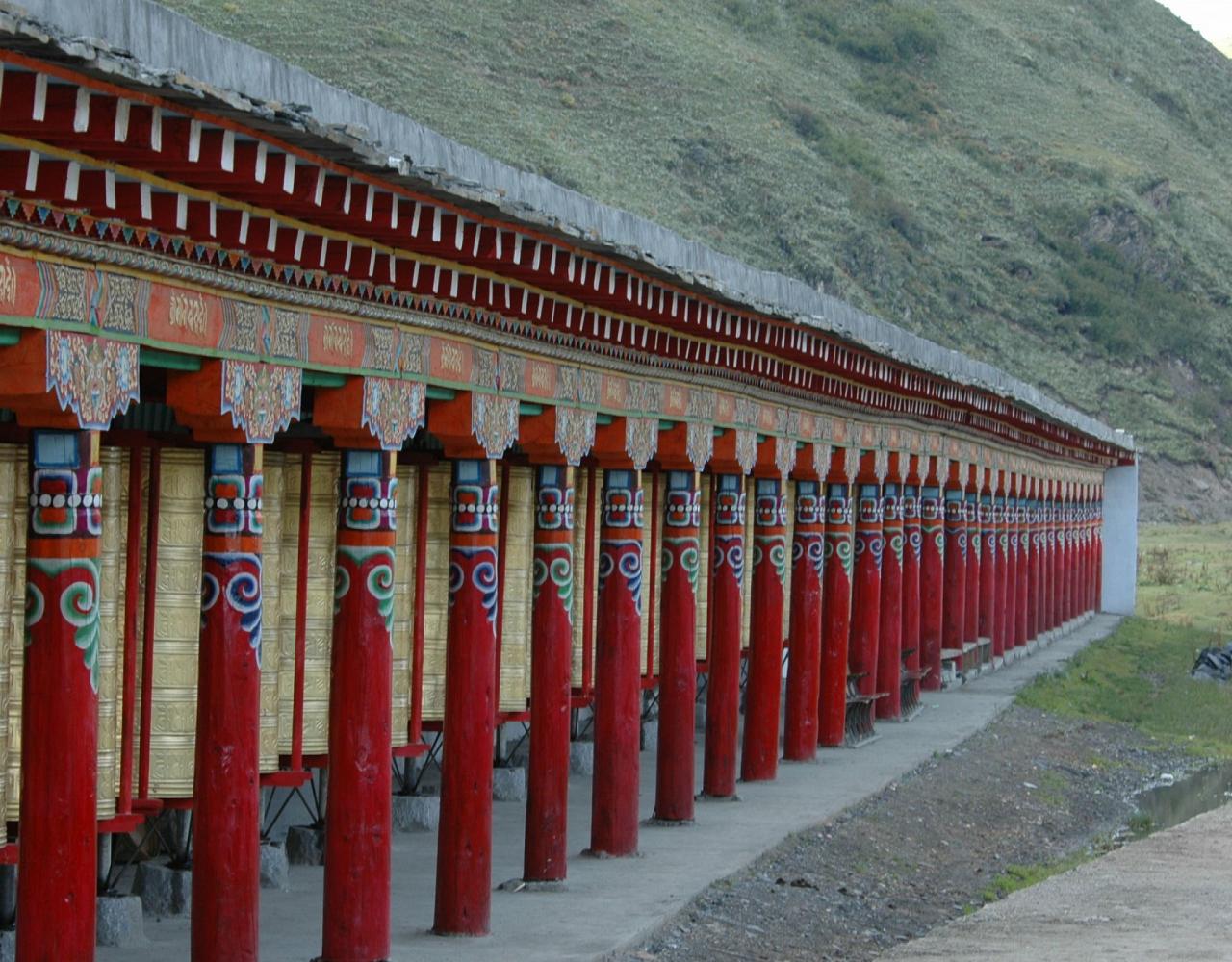 Birding China, Bird Watching China, Asia Birds, Naturalist Journeys, Wildlife Tour, Wildlife Photography, Ecotourism, Specialty Birds, Endemic Birds, Birding Hotspot, Migration, Sichuan Basin