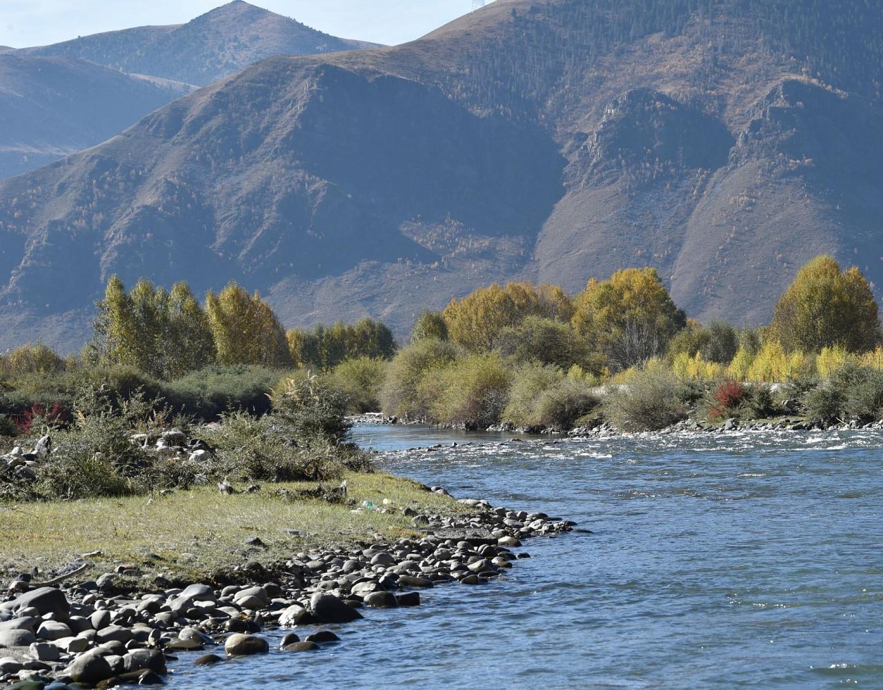 Birding China, Bird Watching China, Asia Birds, Naturalist Journeys, Wildlife Tour, Wildlife Photography, Ecotourism, Specialty Birds, Endemic Birds, Birding Hotspot, Migration, Sichuan Basin
