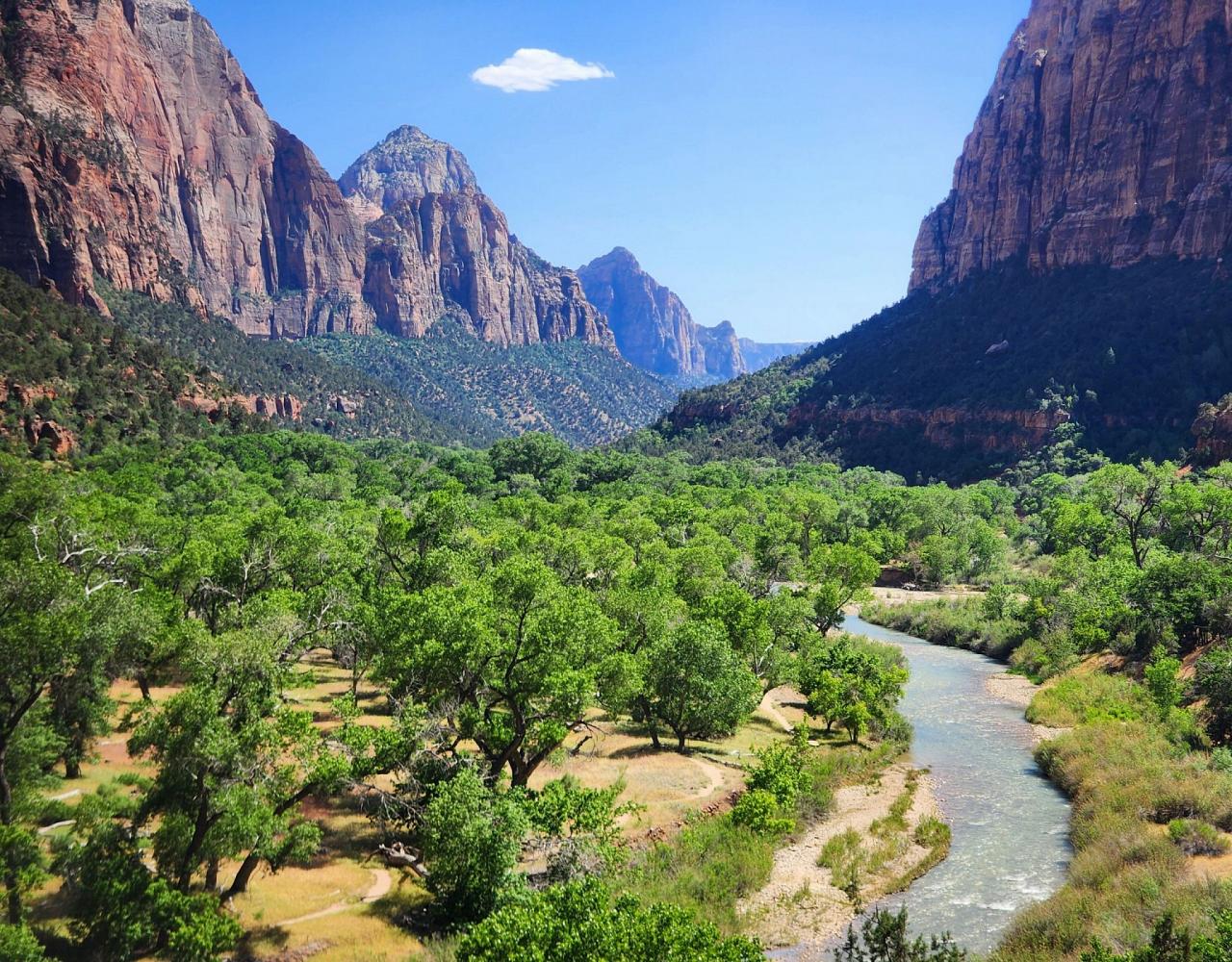 Birding the USA, Bird Watching North America, Western Birds, Naturalist Journeys, Wildlife Tour, Wildlife Photography, Ecotourism, Specialty Birds, Grand Canyon National Park, Zion National Park, Capitol Reef National Park, Bryce Canyon National Park