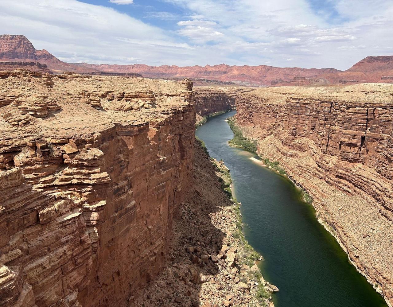 Birding the USA, Bird Watching North America, Western Birds, Naturalist Journeys, Wildlife Tour, Wildlife Photography, Ecotourism, Specialty Birds, Grand Canyon National Park, Zion National Park, Capitol Reef National Park, Bryce Canyon National Park