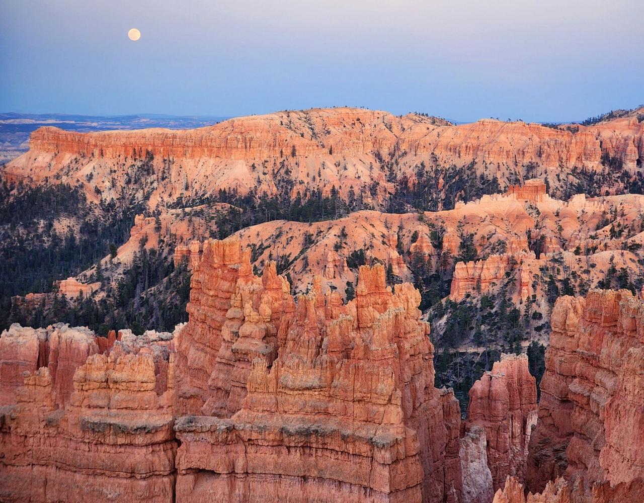 Birding the USA, Bird Watching North America, Western Birds, Naturalist Journeys, Wildlife Tour, Wildlife Photography, Ecotourism, Specialty Birds, Grand Canyon National Park, Zion National Park, Capitol Reef National Park, Bryce Canyon National Park