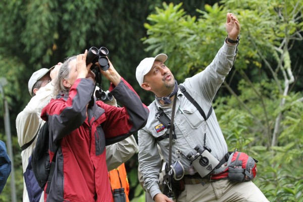 Birding Colombia, Colombia birding tour, Colombia, Colombia Nature Tour, Santa Marta, Naturalist Journeys