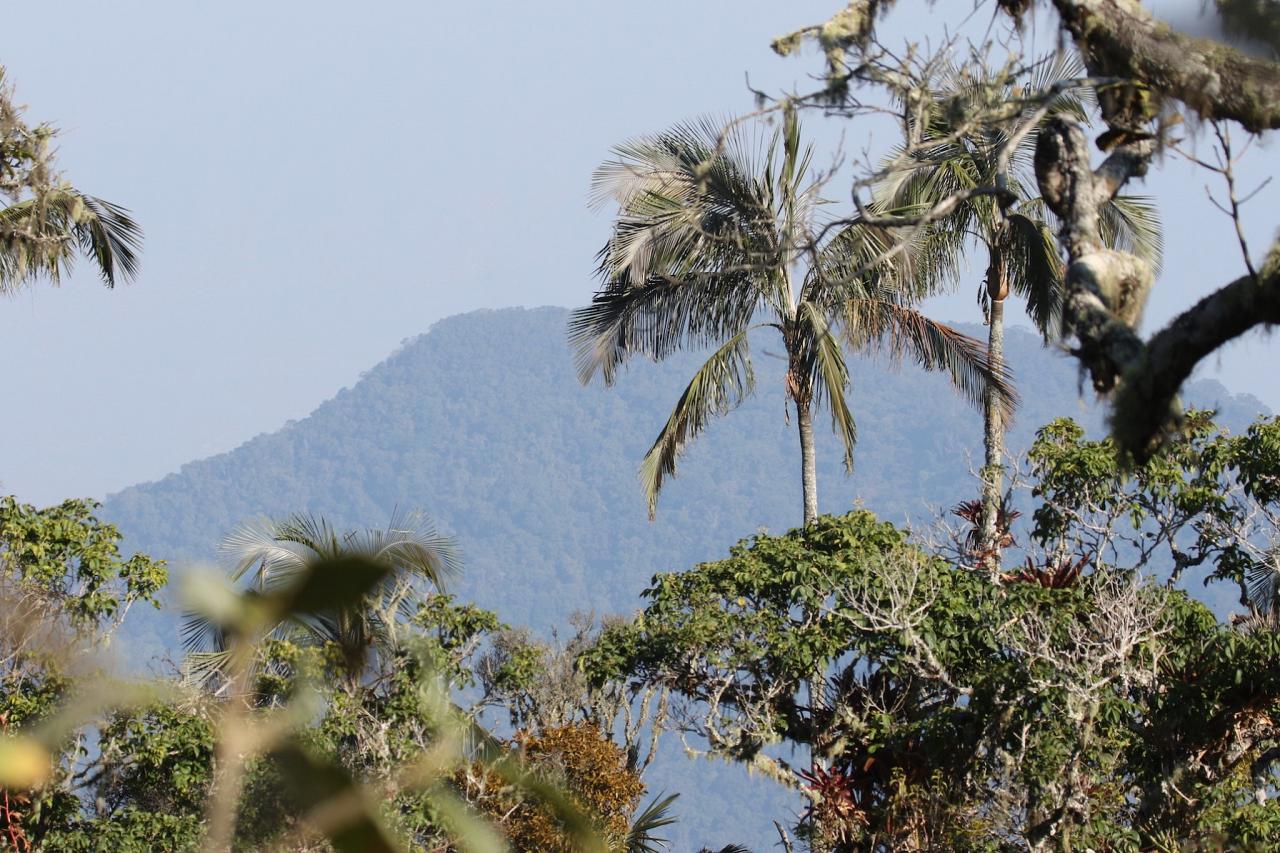 El Dorado view, Colombia Nature Tour, Colombia Birding Tour, Santa Marta, Naturalist Journeys