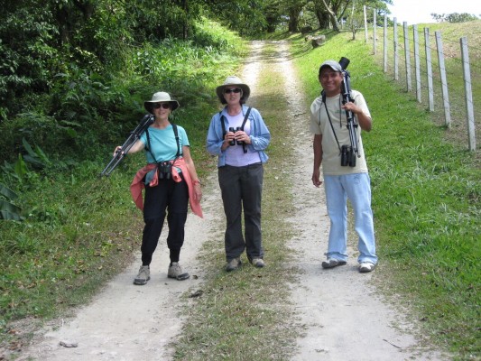 Birding Panama, Panama, Panama Nature Tour, Panama Birding Tour, Naturalist Journeys