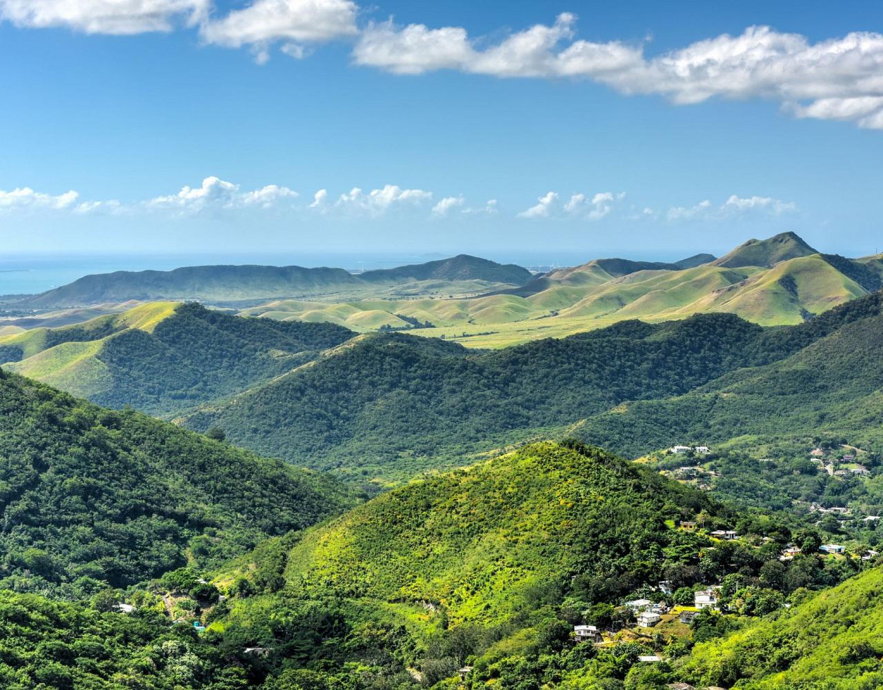 Birding Puerto Rico, Bird Watching North America, Tropical Birds, Naturalist Journeys, Wildlife Tour, Wildlife Photography, Ecotourism, Specialty Birds, endemic birds