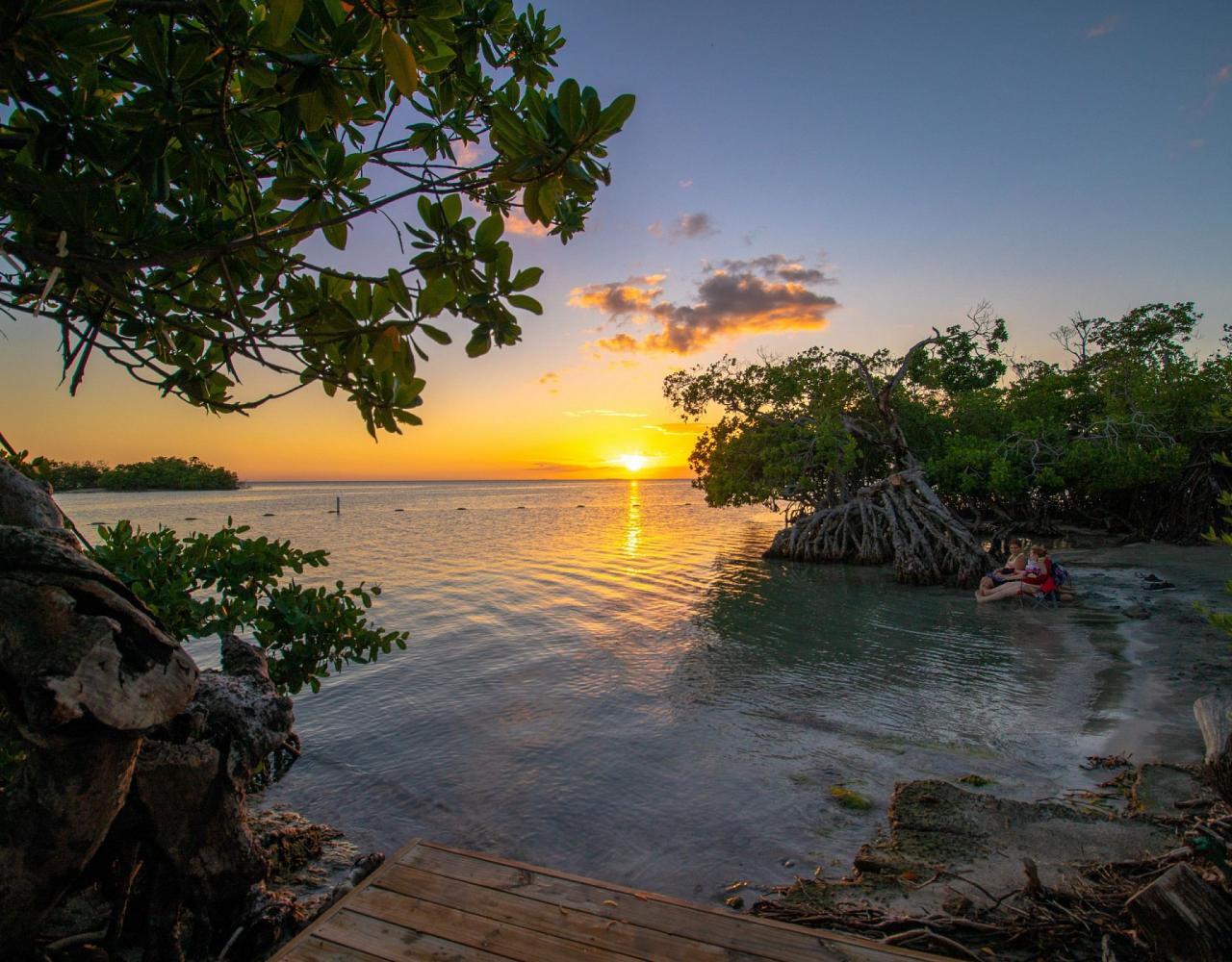 Birding Puerto Rico, Bird Watching North America, Tropical Birds, Naturalist Journeys, Wildlife Tour, Wildlife Photography, Ecotourism, Specialty Birds, endemic birds