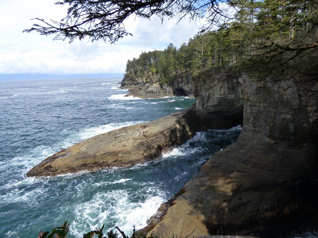 Cape Flattery, Pacific Northwest, Olympic Peninsula, Olympic National Park, Washington, Naturalist Journeys