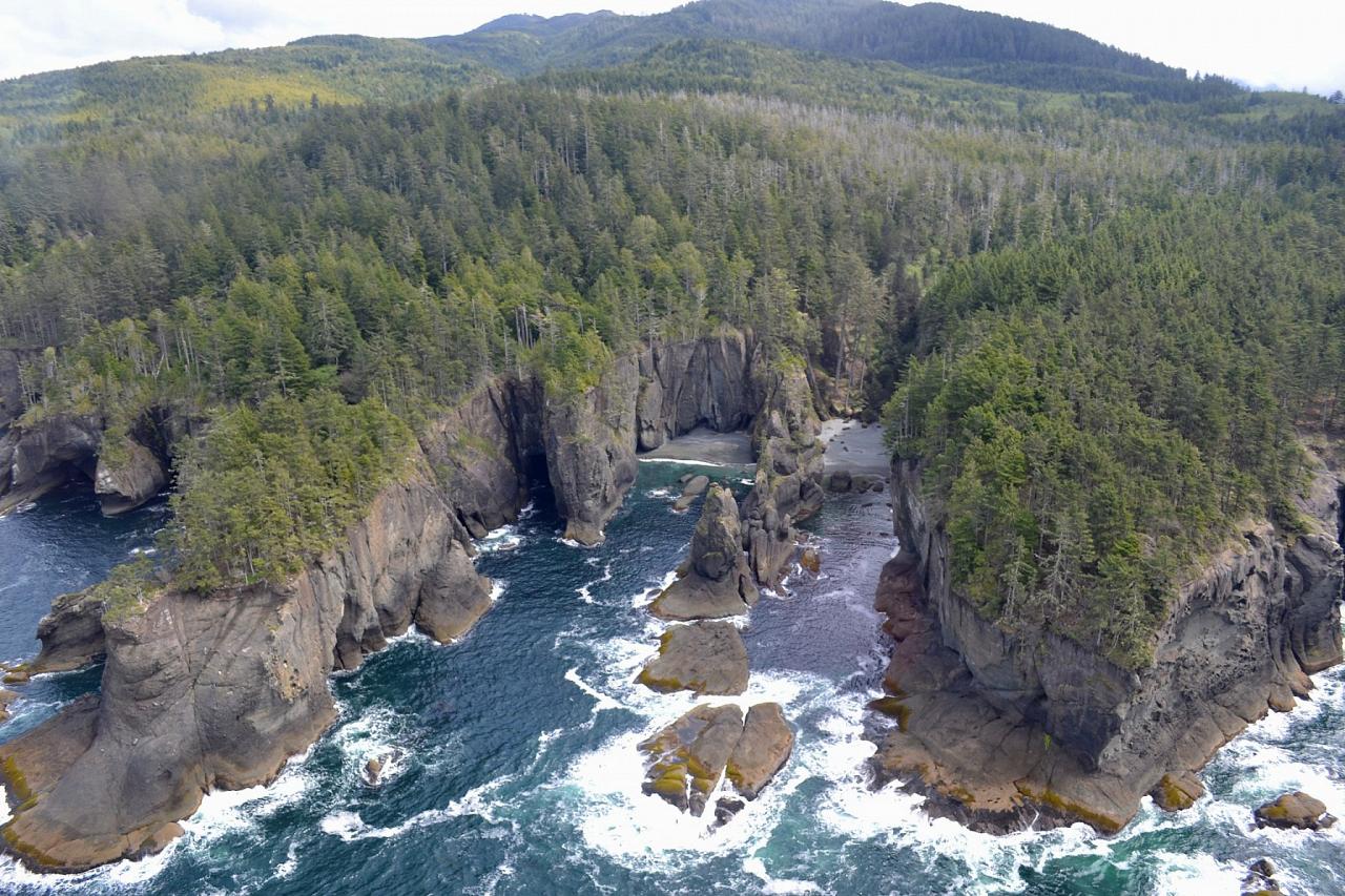 Cape Flattery, Pacific Northwest, Olympic Peninsula, Olympic National Park, Washington, Naturalist Journeys