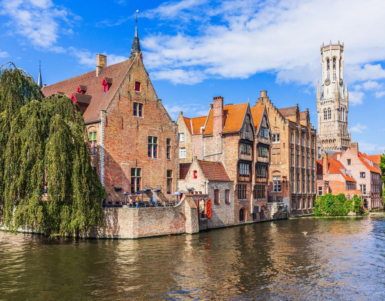 Birding Belgium, Bird Watching the Netherlands, European Birds, Naturalist Journeys, Wildlife Tour, Wildlife Photography, Ecotourism, Specialty Birds