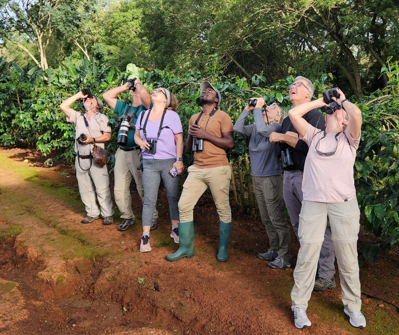 Birding Tanzania, Birding Africa, Southern Tanzania, Naturalist Journeys, Wildlife Tour, Wildlife Photography, Ecotourism, Specialty Birds, Endemic Birds, Birding Hotspot 