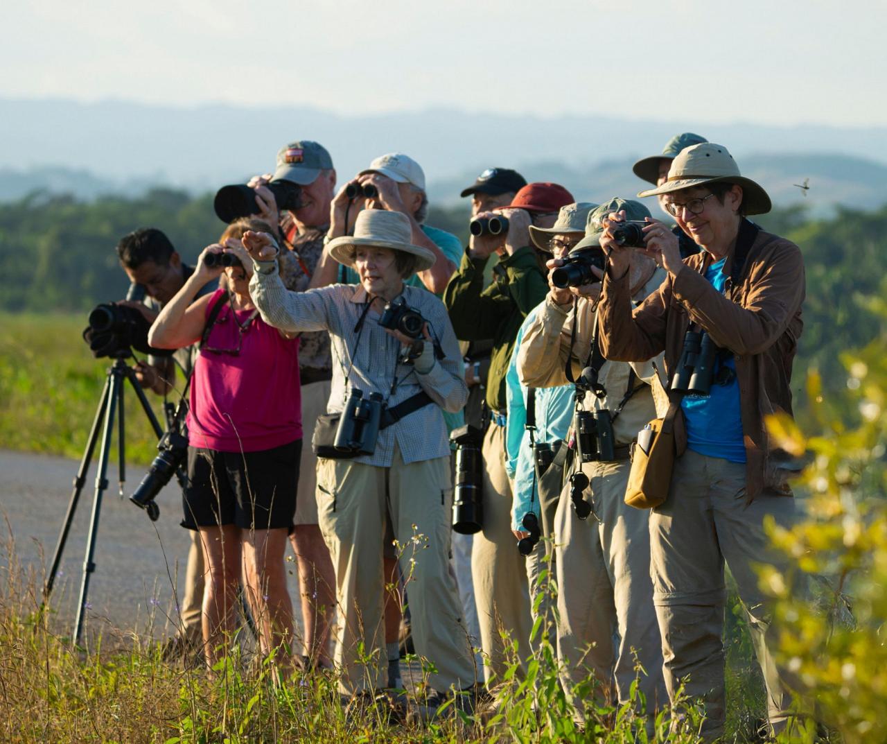 Birding Belize, Bird watching, Central America, Neotropics, Naturalist Journeys, Wildlife Tour, Wildlife Photography, Ecotourism, Specialty Birds, Birding Hotspot