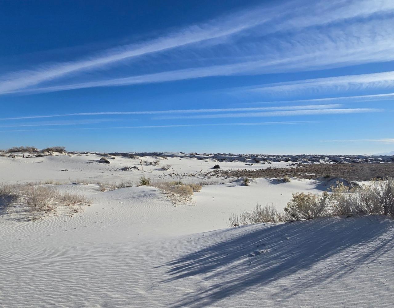 New Mexico, New Mexico Wildlife, Wildlife Tour, Photography, Birdwatching, Santa Fe, Albuquerque, Taos, Bosque del Apache, Pueblos, Culture & Crafts